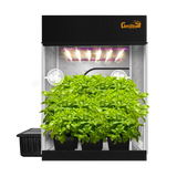 Growing Herbs Indoors Year-Round (continued)