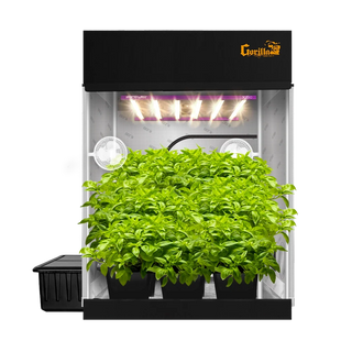 Growing Herbs Indoors Year-Round (continued)