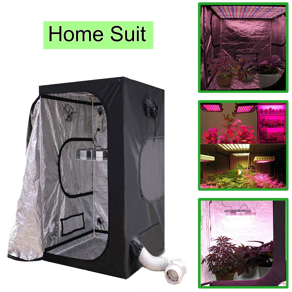 Hydroponic Growing — Soil-Free Gardening for Faster Results