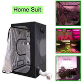 Hydroponic Growing — Soil-Free Gardening for Faster Results