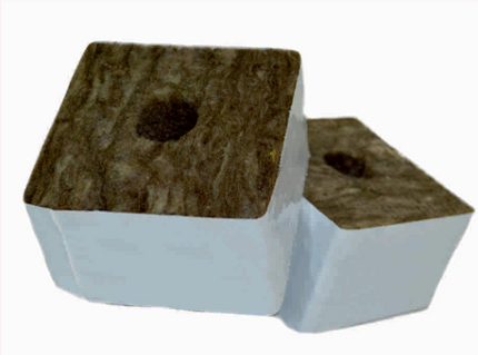 BLOCK-Start 10cm2 x 6.5cmH -38×35 hole – CASE 120
