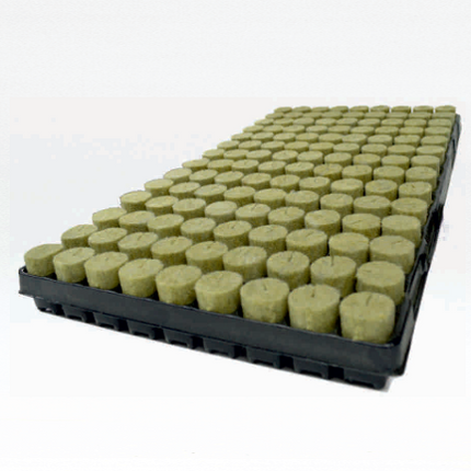 PLUG Basic 28mm x 35mm hole 126 – Per Tray