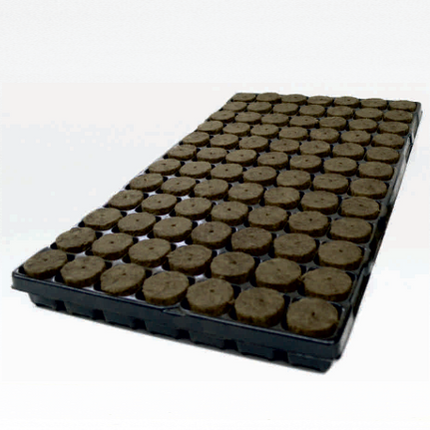 PLUG BOX  84 38mm x 40mm hole – CASE (11 trays)