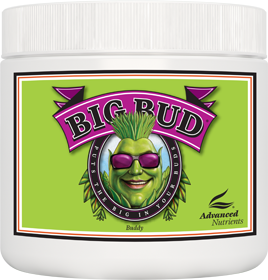 Big Bud 500g