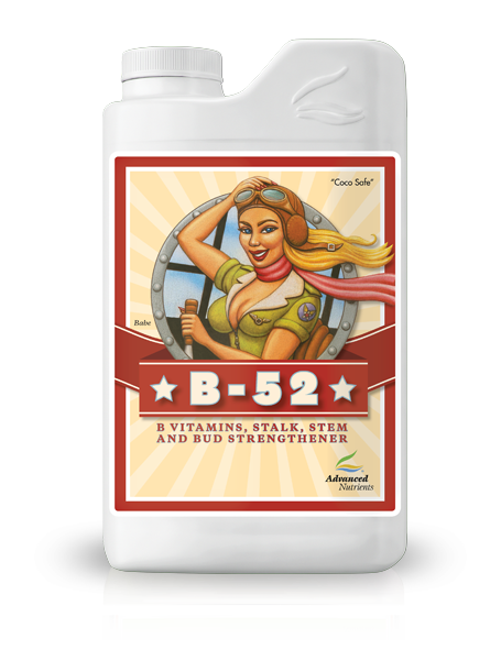 B52 1L