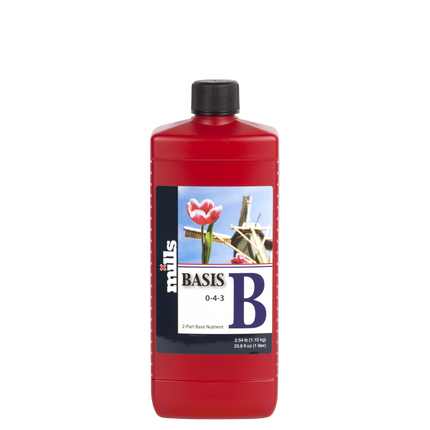 Basis B 1L – 2 Part