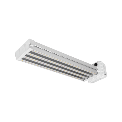 DLI Apex Series Toplight 800 FS DC