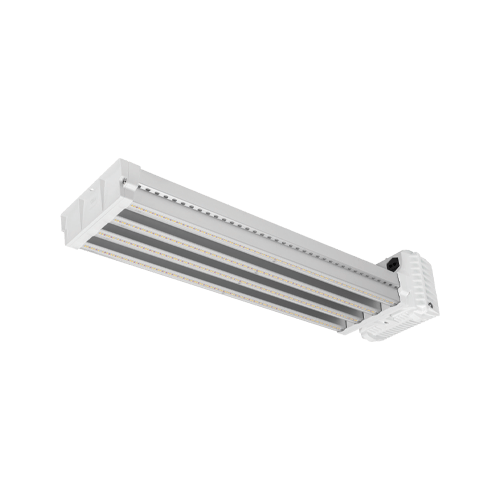 DLI Apex Series Toplight 800 FS DC