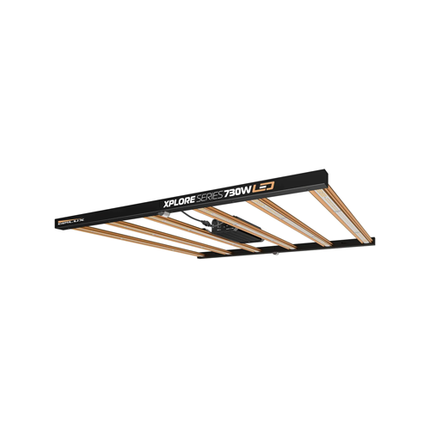 DimLux Xplore Series 730W LED