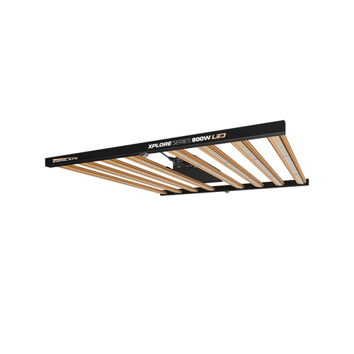 DimLux Xplore Series 800W LED
