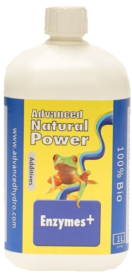 Enzymes+ 1L
