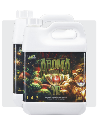 Aroma Veg 1L A