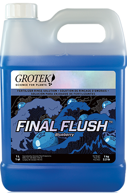 Final Flush – Blueberry 1L *CLEARANCE*