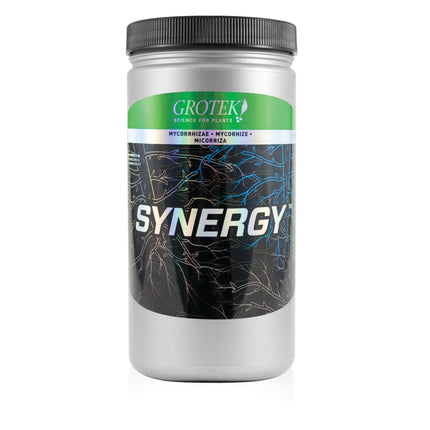 Organics Synergy 400g