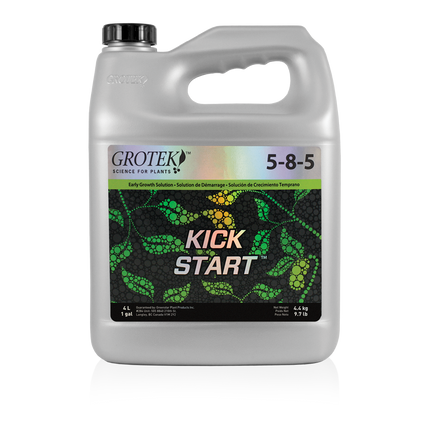 Kick Start 4L
