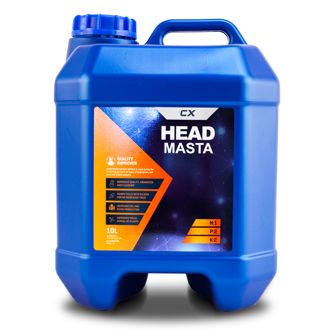 Head Masta 10L