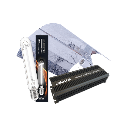 Loadstar 600W Digital Kit