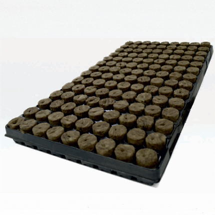 PLUG BOX 126 28mm x 40mm hole – CASE (11 trays)