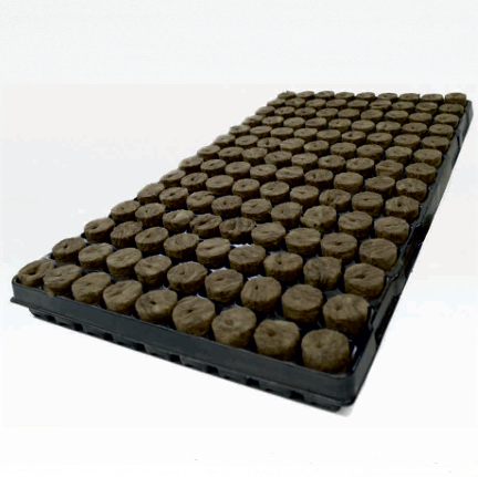 PLUG BOX 126 28mm x 40mm hole – CASE (11 trays)