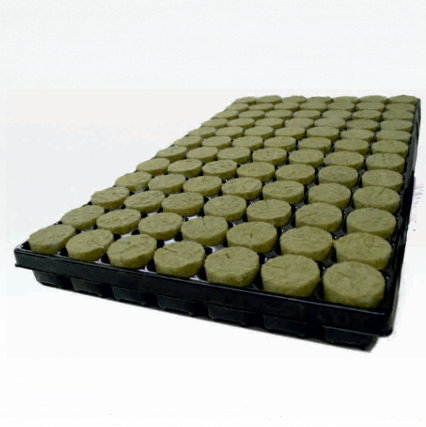 PLUG Basic 38mm x 35mm hole – 84 Per Tray