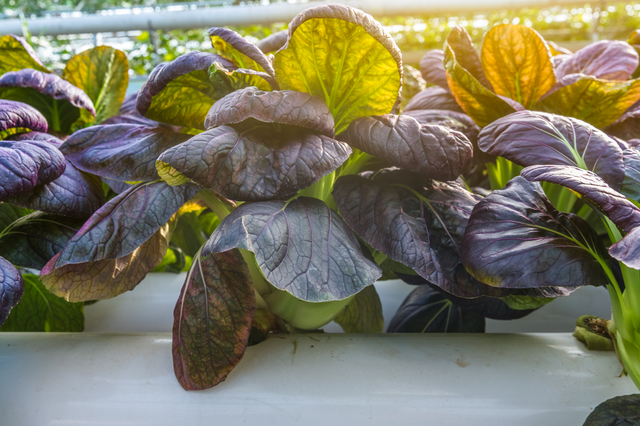 <h2>Grow anytime, anywhere with advanced horticulture tools.</h2>