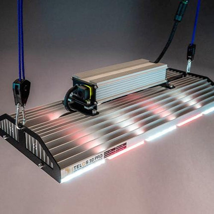 Telos 10 Pro Mesh LED