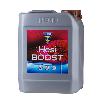 Boost  2.5L