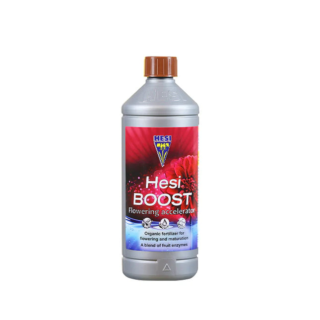 Boost  1L