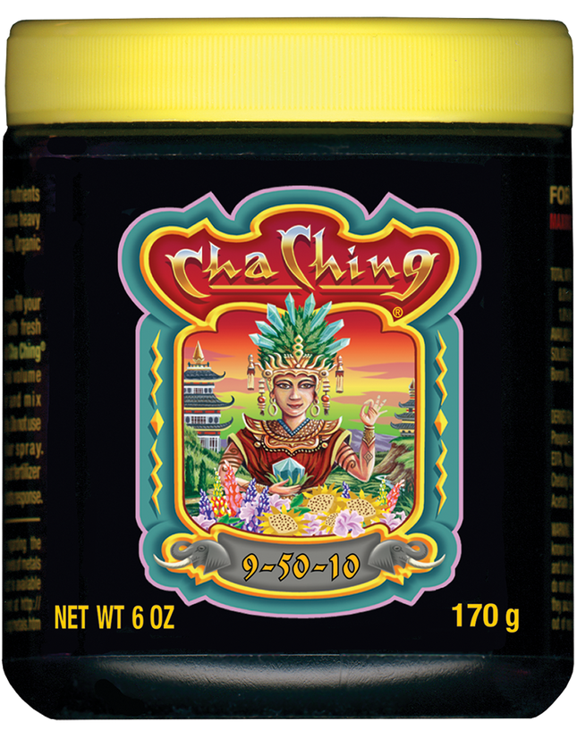 Cha Ching  6oz/170g