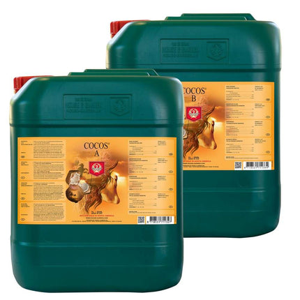 Coco 10L B only