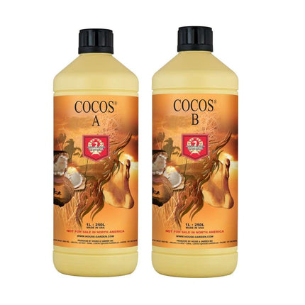 Coco  1L A only