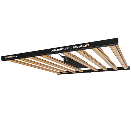 DimLux Xplore Series 800W HE LED