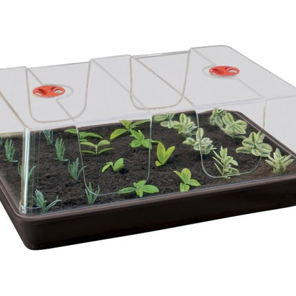 Garland Propagator