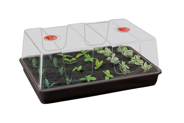 Garland Propagator