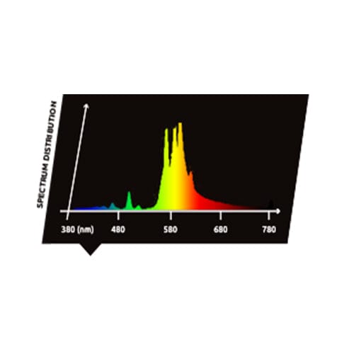 Lumatek 600W HPS Lamp