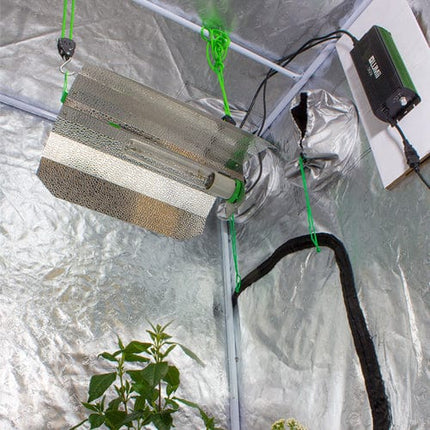 LUMii BLACK 600W Digital Kit