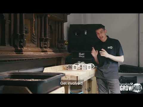 LUMii BLACK Contactor