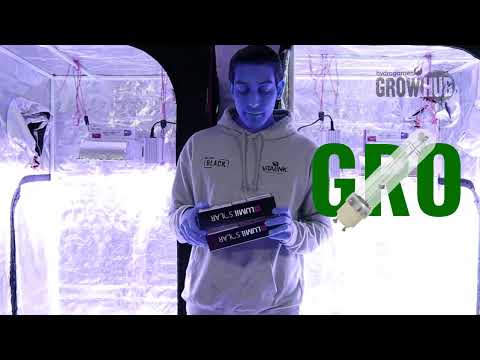 LUMii - Solar Gro 315W Bulb