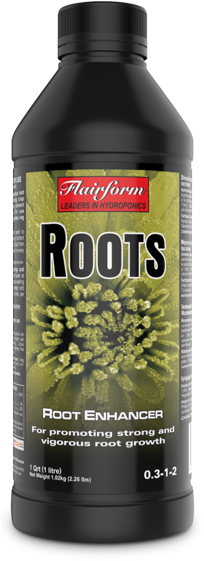 Roots  1L