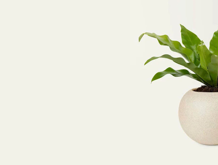 <h1>Grow Smarter. Grow Faster.</h1>