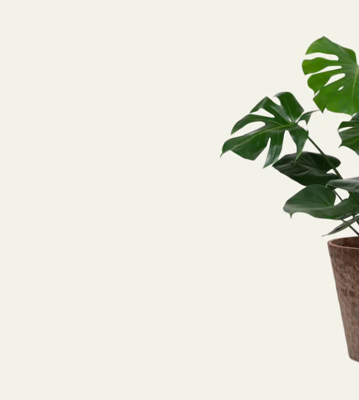 <h1>Grow Smarter with MAX Grow</h1>