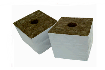 BLOCK-Start  7.5cm2 x 6.5cmH-38×35 hole – Single