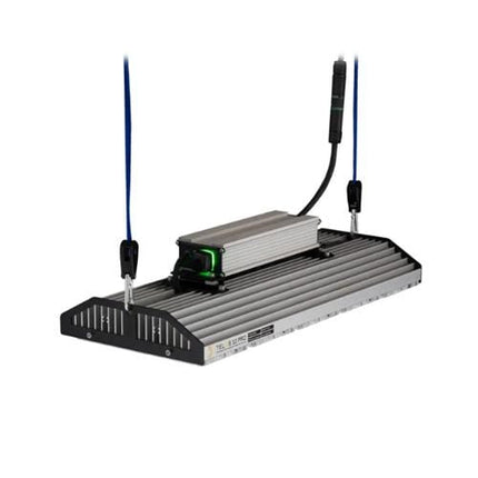 Telos 10 Pro Mesh LED